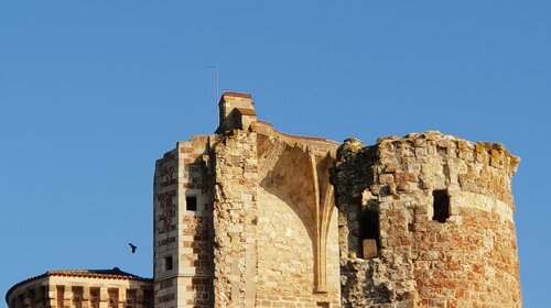 Les ruines de la forteresse des Ducs de Bourbon