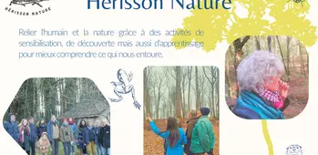 HERISSON NATURE